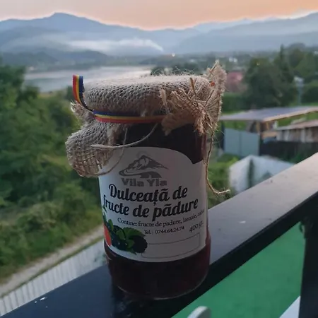 Casa Yla Villa Piatra Neamţ